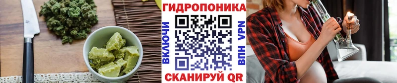 закладки  Геленджик  Cannafood конопля 