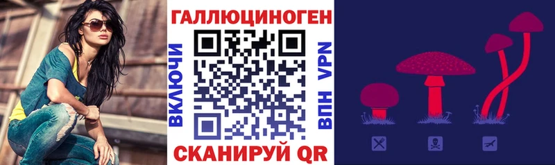 Псилоцибиновые грибы Psilocybe  Геленджик 