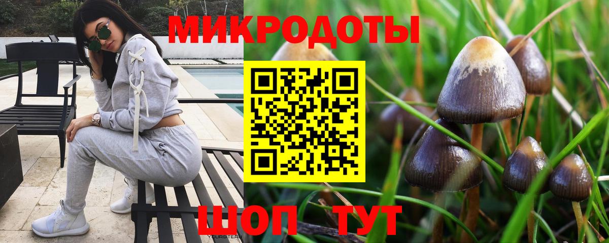 Псилоцибиновые грибы Cubensis Геленджик