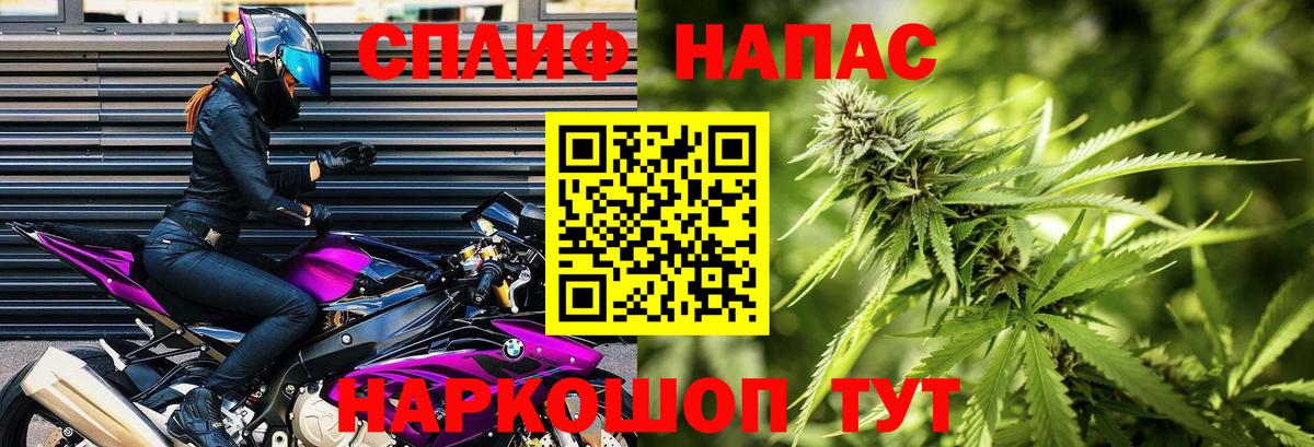 Бошки марихуана OG Kush  Бошки марихуана SATIVA & INDICA  Геленджик  Вход с VPN  Каннабис семена  Конопля гибрид 