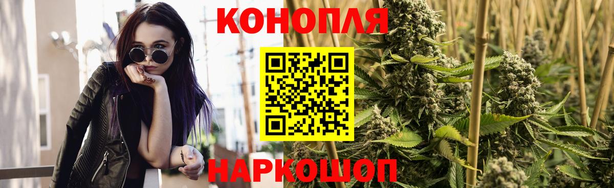 Бошки Шишки план Геленджик
